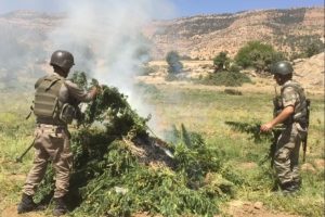 4 sığınak imha edildi, 1 ter&ouml;rist &ouml;ld&uuml;r&uuml;ld&uuml;