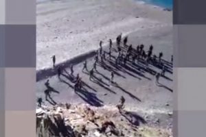 İki &uuml;lke askerleri tekme tokat kavga etti