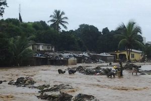 Sierra Leone'da &ouml;l&uuml; sayısı 500'e y&uuml;kseldi