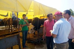 Bursa'da kurbanlıklar denetimden ge&ccedil;ti