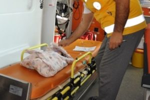 Yeni doğmuş bebek &ccedil;&ouml;p poşetinde bulundu