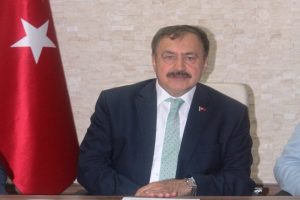 Bakan Eroğlu Ayvalık'taki yangında sabotaj ihtimalini a&ccedil;ıkladı