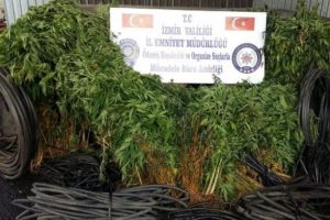 İzmir'de uyuşturucu operasyonu