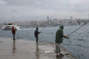 Boğaz'da sağanak bereketi, 30 saniyede 10 istavrit