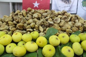 Kuru incir rekolte tahmini a&ccedil;ıklandı