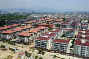 Bursa Soğanlı'da yeni yaşam başladı