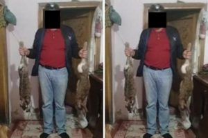 Ka&ccedil;ak avcıyı sosyal medya ele verdi