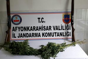 Jandarma 75 k&ouml;k keneviri ile ruhsatsız av t&uuml;fekleri ele ge&ccedil;irdi