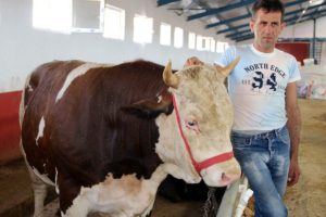 'Gaddar' 16 bin liraya satıldı