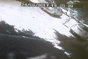 Kedisi otomobilin altında kaldı, &ccedil;ılgına d&ouml;nd&uuml;