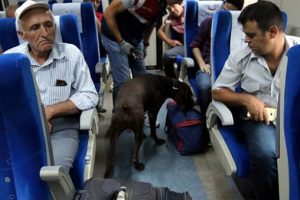 Trende bomba ve uyuşturucuya k&ouml;pekli &ouml;nlem