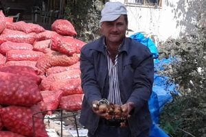 Bursa Yenişehir'de soğan y&uuml;z g&uuml;ld&uuml;rd&uuml;