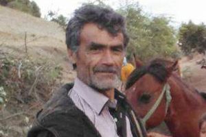 Kurbanlık dana sahibini &ouml;ld&uuml;rd&uuml;
