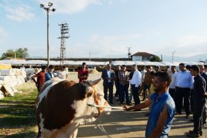 Bursa'da b&ouml;lgenin en b&uuml;y&uuml;k hayvan pazarında hareketlilik başladı