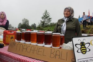 Artvin'de 'Ma&ccedil;ahel Saf Kafkas Arı ve Bal Festivali' d&uuml;zenlendi