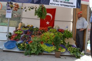 Bursa Yenişehir festivale hazırlanıyor