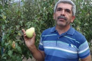 Meyveciliğe hobi olarak başladı, &uuml;retici oldu