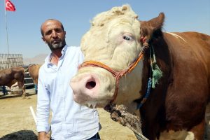 Ağa'ya 25 bin lira fiyat bi&ccedil;ildi