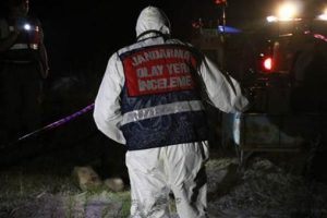 Tarlada dehşet! T&uuml;fekle vurulmuş halde bulundular