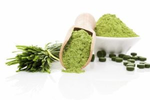 "Vitamin ve protein deposu su yosunları"