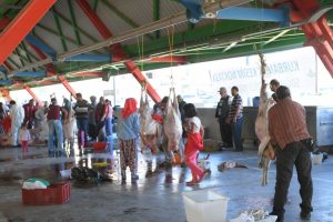Bursa Osmangazi'de hijyenik kesim