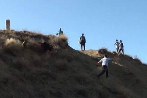 Ka&ccedil;an boğaya uyuşturucu iğne attı! Sonrasında yaşananlar inanılmaz