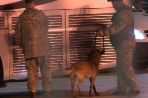 Milli Takım otob&uuml;s&uuml;nde bomba araması