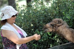 Bursa'da hayvanat bah&ccedil;esinde 'Zeyno'ya b&uuml;y&uuml;k ilgi