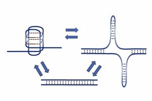 DNA dizilimlerinde yeni keşif