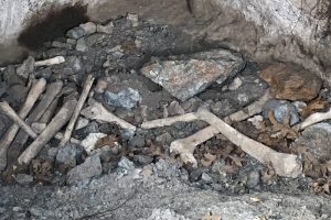 Eskişehir'de korkutan kemikler
