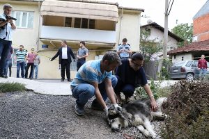 Evinin karşısına tuvaletini yapan k&ouml;peği ve sahibini vurdu