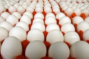 AB'den T&uuml;rkiye'ye zehirli yumurta karalaması