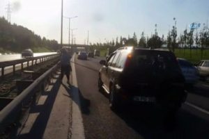 Yavru kediyi kurtarmak i&ccedil;in TEM'de trafiği durdurdu