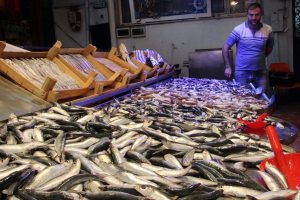 Bursa'da sezon a&ccedil;ıldı hamsi 15 liraya d&uuml;şt&uuml;