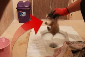 Tuvaletten gelen seslere gitti: G&ouml;r&uuml;nce şoke oldu
