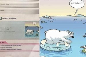 T&uuml;rk&ccedil;e kitabında 'kutup ayılı' karikat&uuml;re tepki!