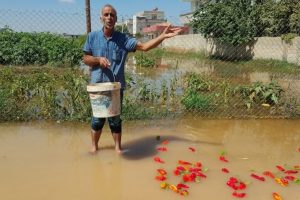 Suru&ccedil;'ta ev ve iş yerlerini su bastı