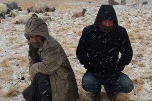 Meteoroloji sıcaklar artacak dedi ama 3 kente kar yağdı!
