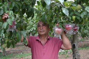Hobisiydi, mesleğe d&ouml;n&uuml;şt&uuml;rd&uuml;: 7 yıldızlı otellere ve yurt dışına satıyor