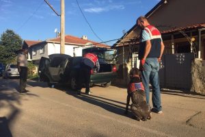 Bursa'da k&ouml;pekli uyuşturucu operasyonu!