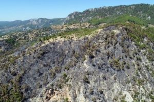 Zeytink&ouml;y'&uuml;n yaraları sarılıyor