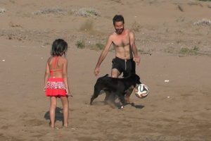 Sahipsiz k&ouml;pek plajın maskotu oldu