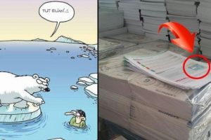 Ders kitabındaki kutup ayısı skandalına '&ccedil;&ouml;z&uuml;m' bulundu: O sayfalar yırtıldı!