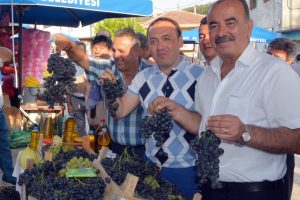 Bursa Mudanya'da bağ bozumu şenliği