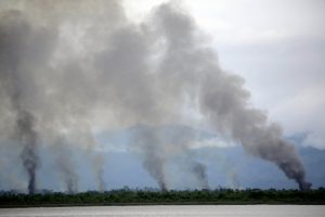 BM: Myanmar'da yaşananlar etnik temizlik &ouml;rneği