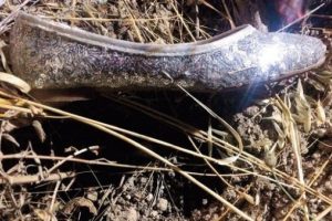 Cinayetin izi 38 numara babet ve takma tırnaklardan s&uuml;rd&uuml;r&uuml;l&uuml;yor