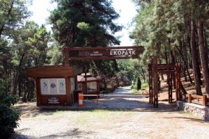 Bu park kendi elektriğini kendisi &uuml;retiyor