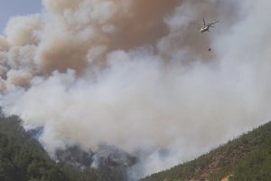 K&uuml;tahya'da ikinci orman yangını
