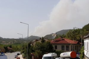 Sakarya'daki orman yangını b&uuml;y&uuml;yor