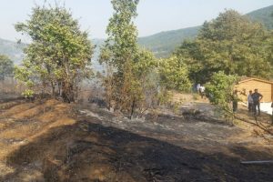 Bursa'da 3 hektarlık ormanlık alan yandı